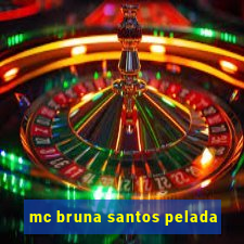 mc bruna santos pelada